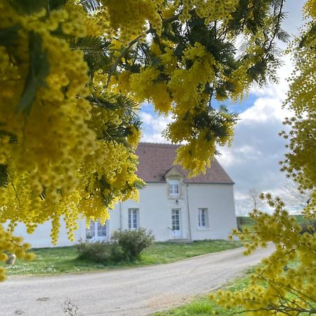Les Mimosas Villa Gracay Екстериор снимка